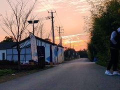 -菊园百果园