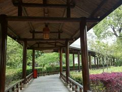 -山湖温泉
