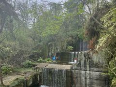 -千岛湖东南湖区