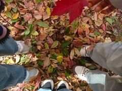 -长春市南湖公园