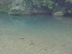 -郧西五龙河风景区