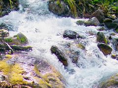 -玉渡山自然风景区