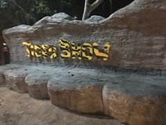 -清迈夜间动物园