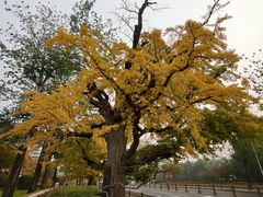 -清华大学玉泉医院