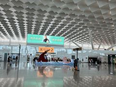 -郑州新郑国际机场-T2航站楼