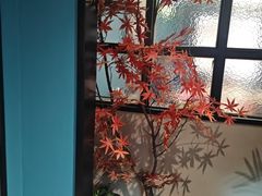 -渝乡辣婆婆·川菜 水煮鱼(中山西路店)