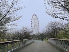 -自然谷恐龙园