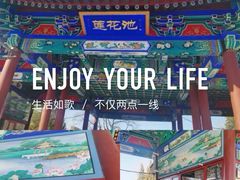 -莲花池公园