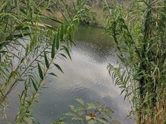 -重庆彩云湖湿地公园