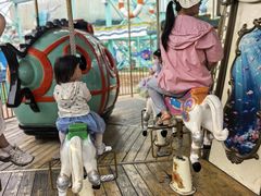 -海合安成都极地海洋公园