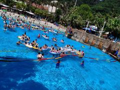 -重庆海昌加勒比海水世界