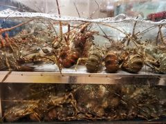 -龙悦湾酒家·八阵鱼生·渔人码头店