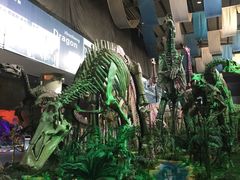 -诸城市恐龙博物馆