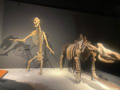 -重庆自然博物馆(新馆)