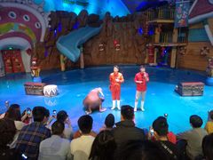 -烟台海昌鲸鲨海洋公园