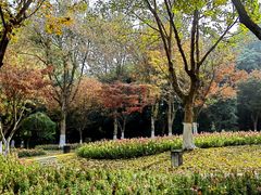-成都市文化公园