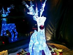 -胡桃里音乐酒馆(曲江店)