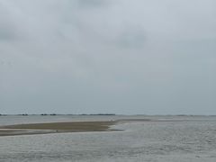 -红树林天天赶海