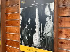 -怀托摩萤火虫洞