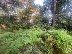 -敬亭山风景名胜区