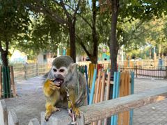 -水上乐园·欢乐世界