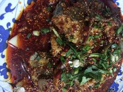 风鑫铃罗非鱼-风鑫铃罗非鱼(道沟店)