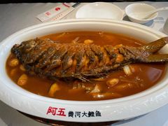 -阿五黄河大鲤鱼(纬三路店)