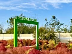 -天津东丽湖风景区