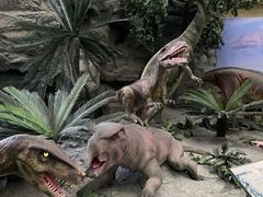 -国家自然博物馆