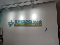 -雨林宠物医院 非犬猫异宠专科