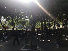 -江头公园