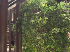-狮王府淮扬菜(夫子庙老门东店)