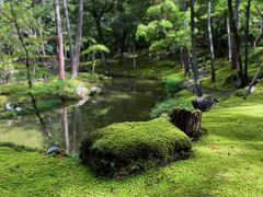 -西芳寺(苔寺)