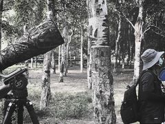 -长春市南湖公园