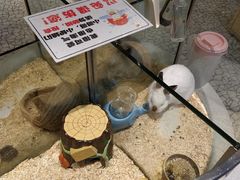 -上海尚嘉中心
