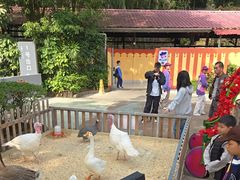 -广州长隆国际大马戏