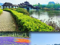 -南宁花花大世界景区