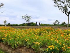 -同里国家湿地公园