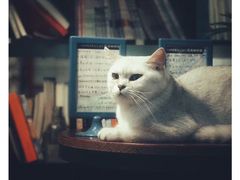 -花与咖啡馆(金星楼店)