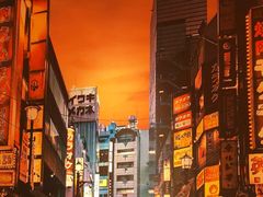 -仓桥家·焗寿司·锅物(光谷步行街店)