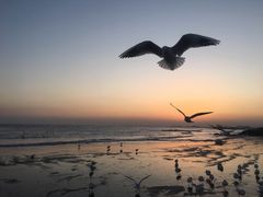 -老虎石海上公园