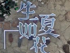 -生如夏花泰式火锅(鹭洲里店)