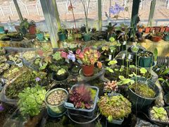 -国家植物园南园