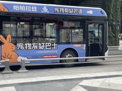 -帕帕拉兹宠物(亚洲旗舰店)