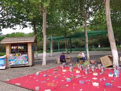 -济南国际园博园