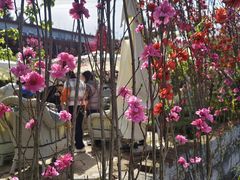 -桃源山庄·水蜜桃采摘·柴火鸡·烧烤团建(龙泉山店)