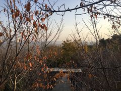 -象山森林公园