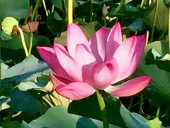 -北海公园-停车场