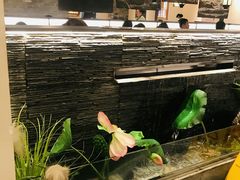 -大榕树下顺德菜(融创茂店)
