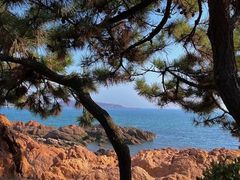 -青岛第一海水浴场